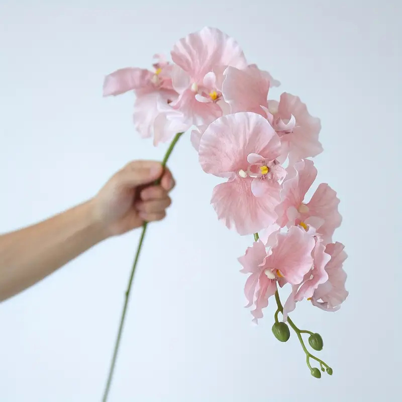 Long Branch Butterfly Orchids  - Christmas Wreath Fake recension och pris